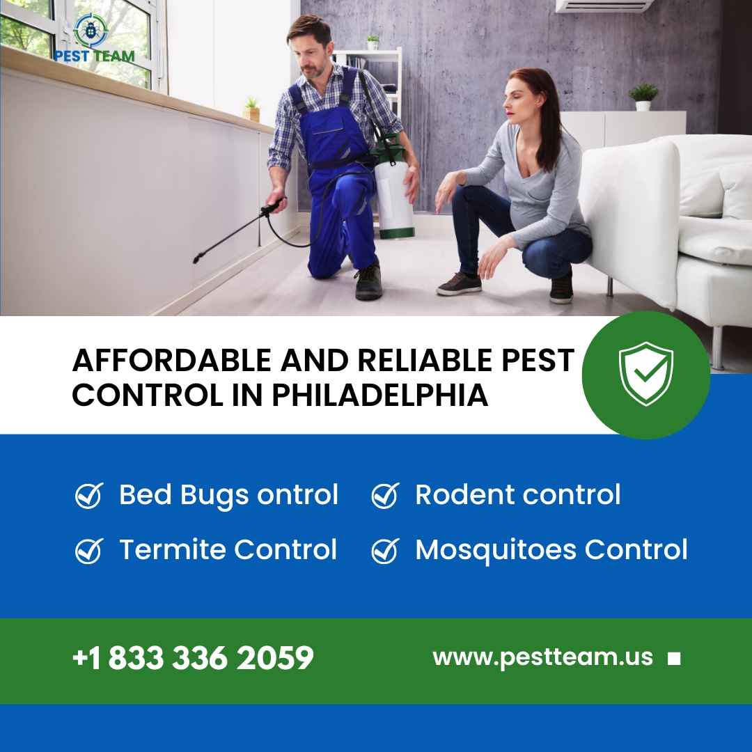 Affordable And Reliable Pest Control In Philadelphia